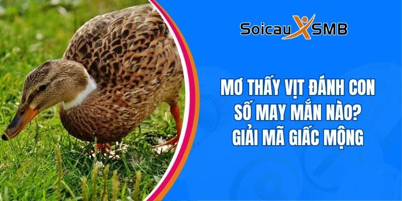 Giấc mơ thấy vịt