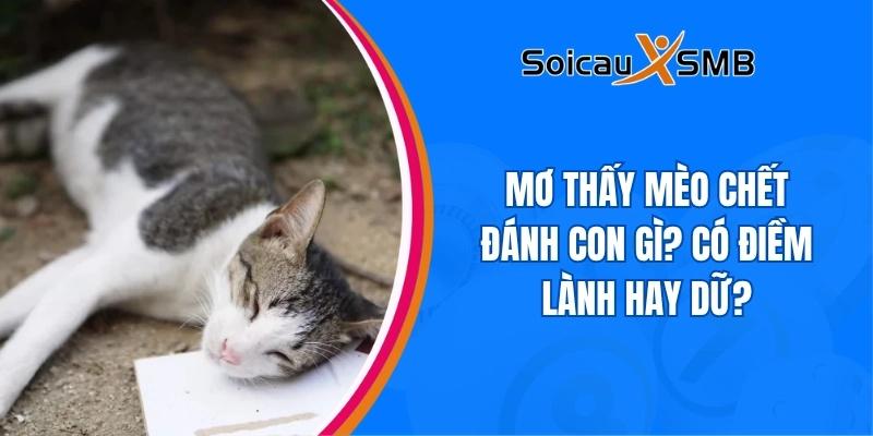 Mơ thấy mèo chết đánh con gì? Có điềm lành hay dữ?