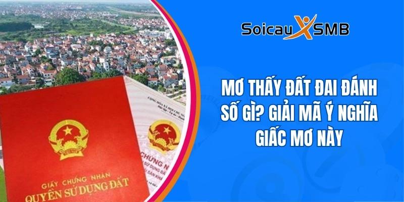 Mơ thấy đất đai đánh số gì? Giải mã ý nghĩa giấc mơ này
