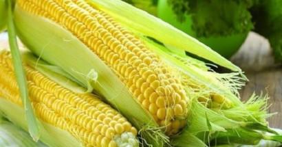 Giấc mơ thấy bắp ngô là điềm báo gì? Nên đánh con nào?